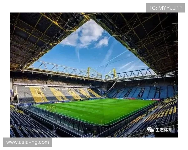 意甲与园艺公司合作，球场绿化项目